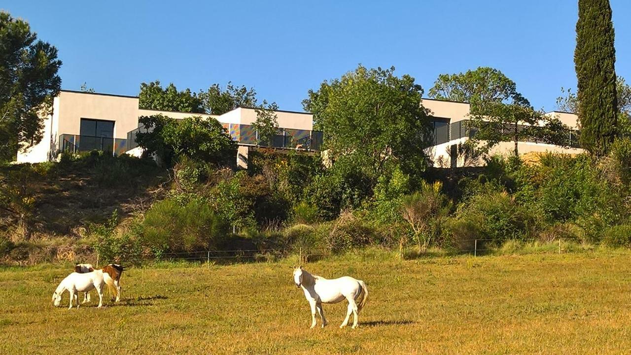 Villa Piscine Sud France Verzeille Exteriör bild